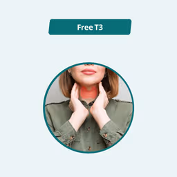 Free T3 (FT3)