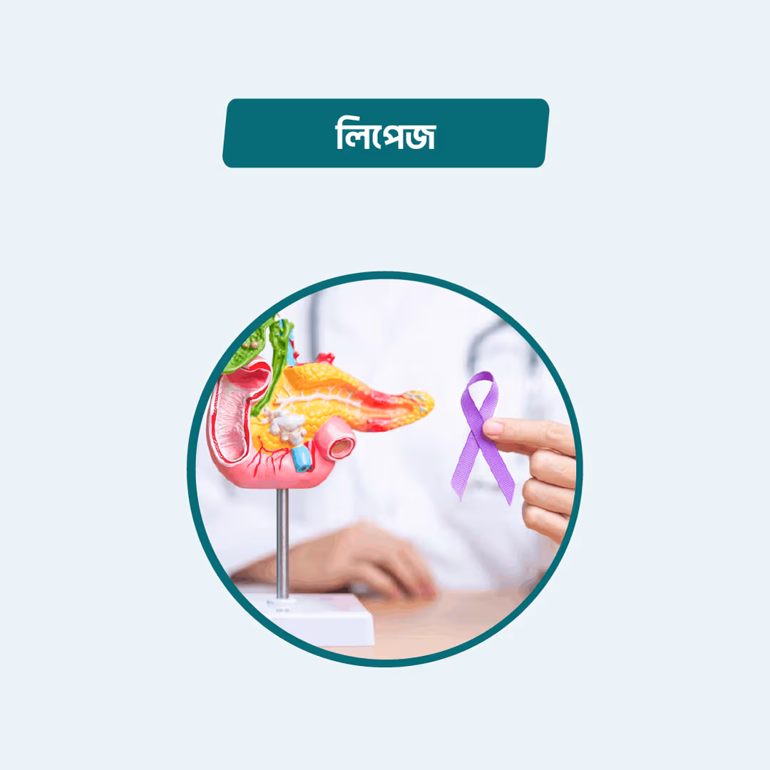 Lipase