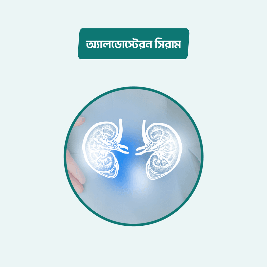 Aldosterone (Upright)
