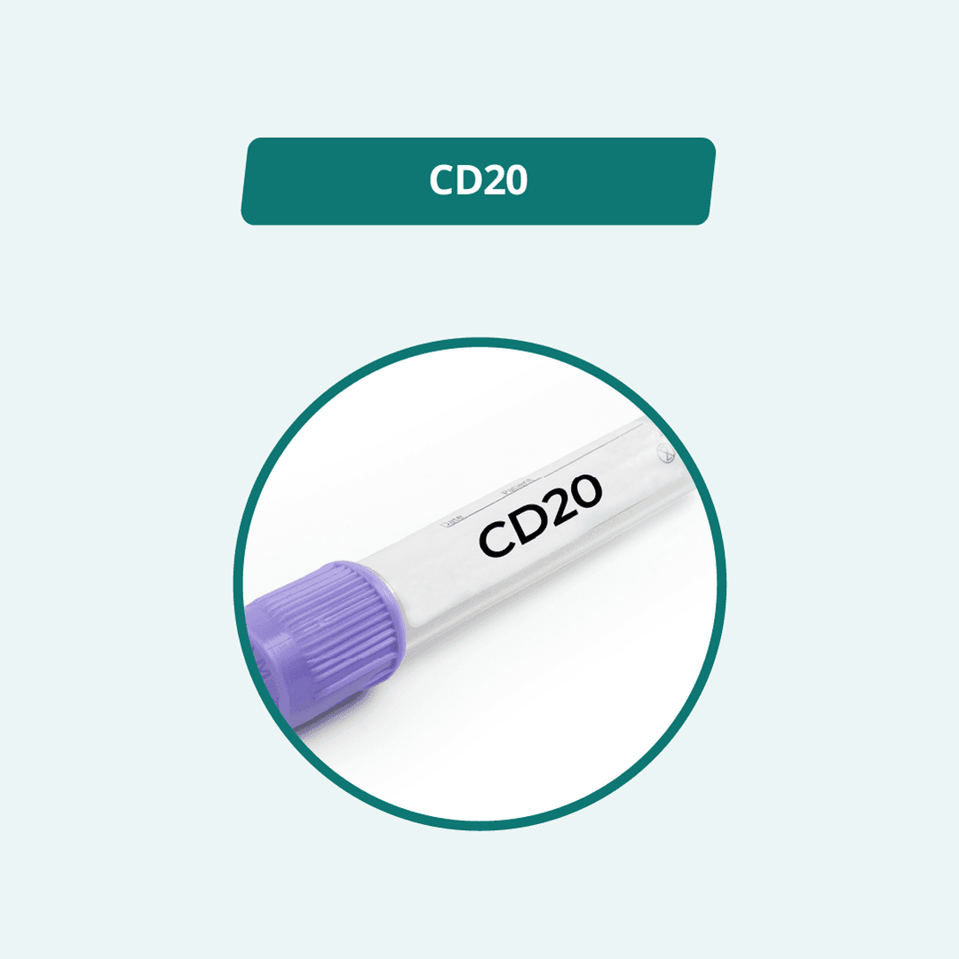 CD20