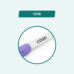CD20