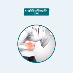 C- Reactive Protein (CRP)