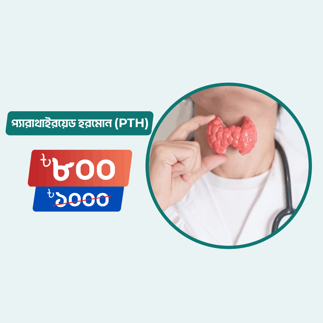 Parathyroid Hormone (PTH)