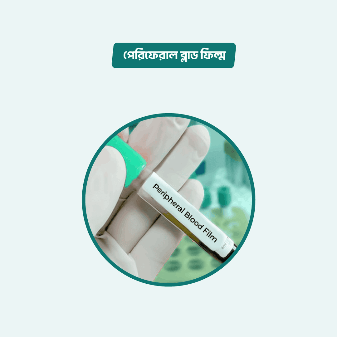 Film/Cell Morphology
