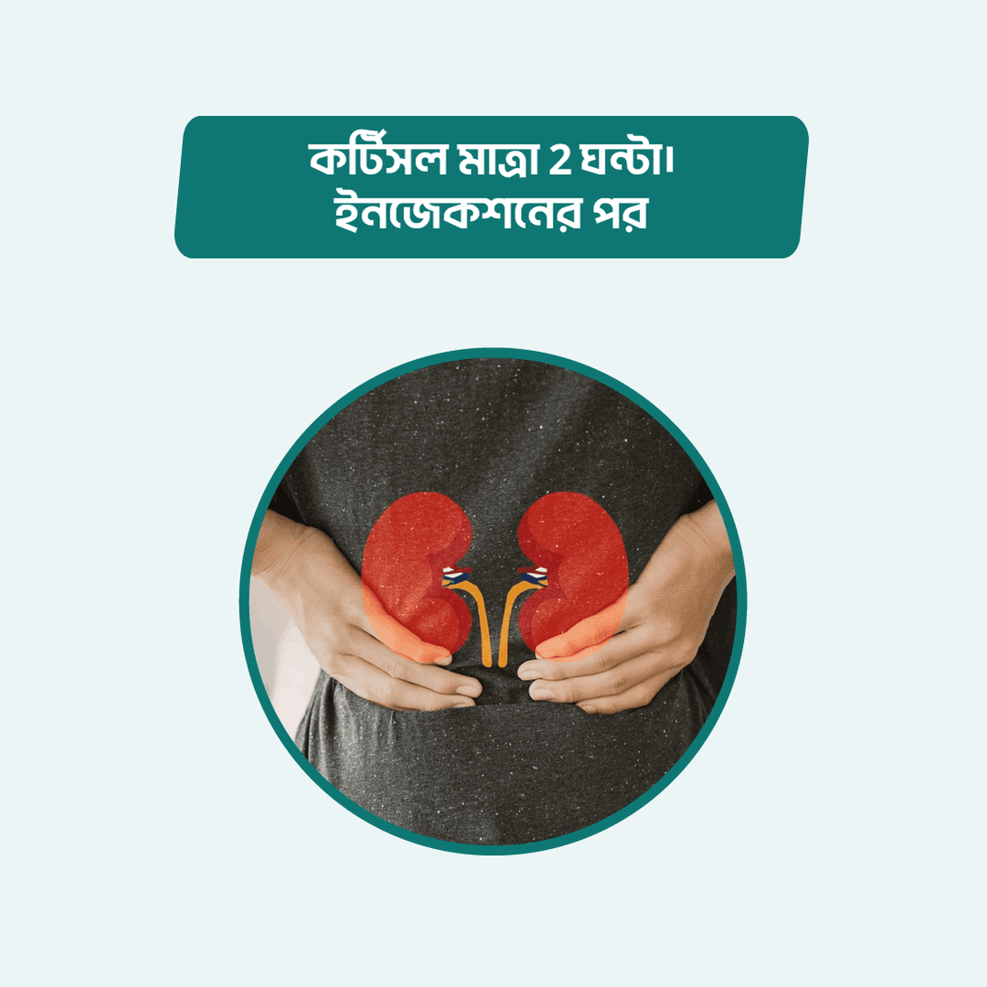 Cortisol level 2 hrs. After Injection