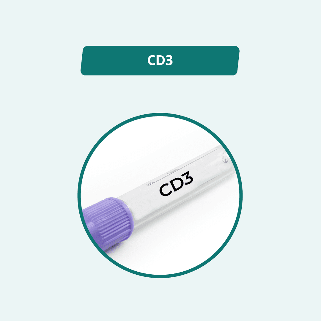 CD3
