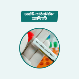 Anti-Cardiolipin antibody