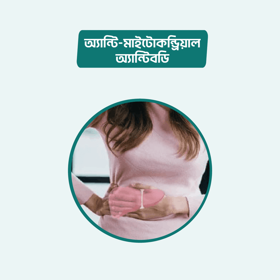 Anti-Mitochondrial Antibody