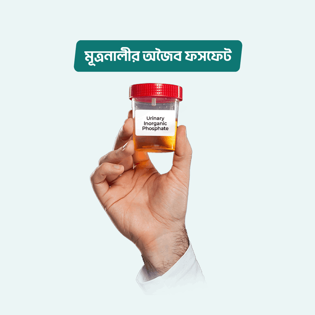 Urinary Inorganic Phosphate