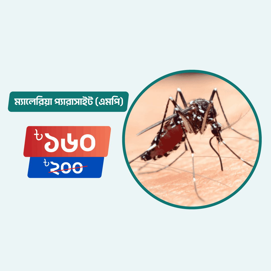 Malaria Parasite (MP)