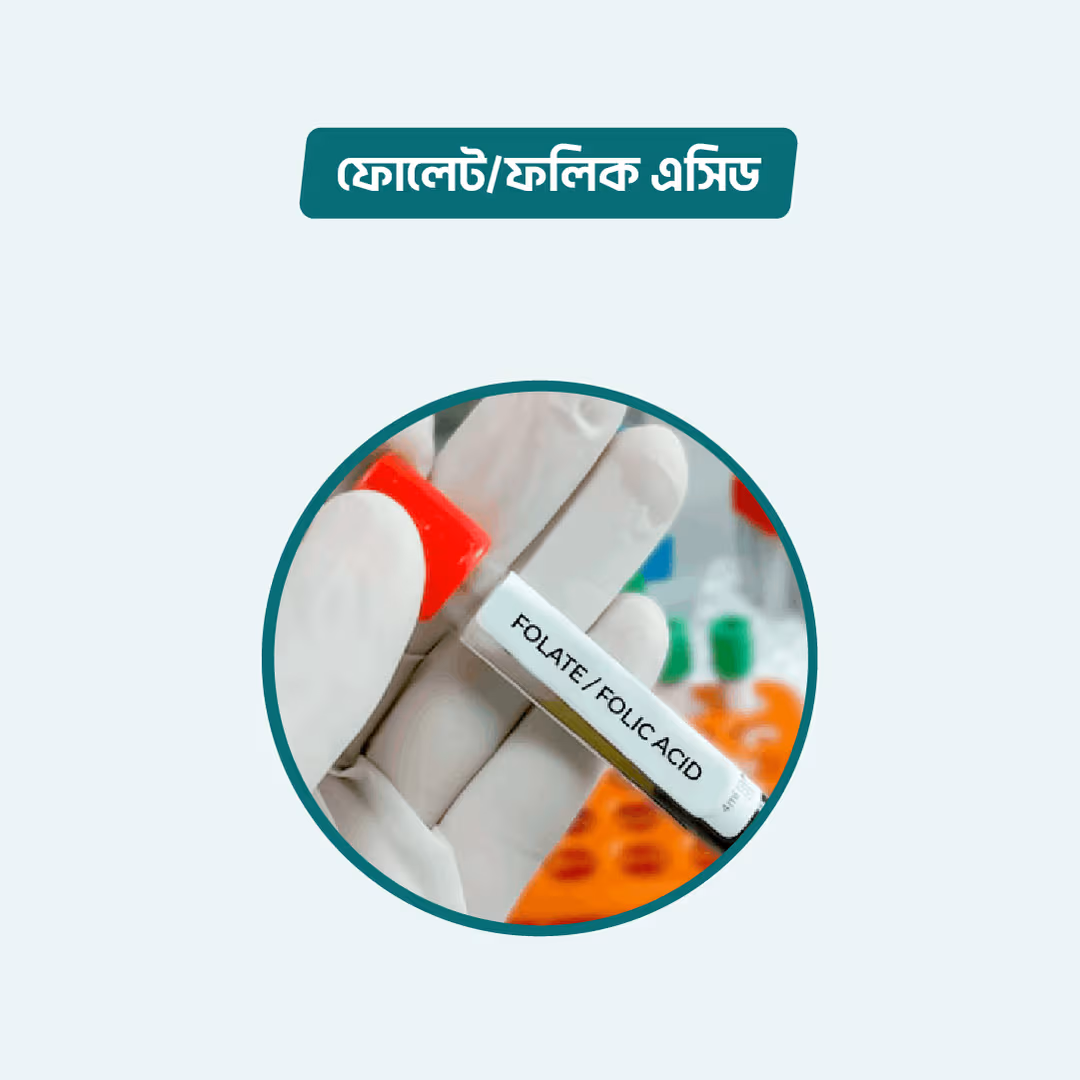Folate / Folic Acid