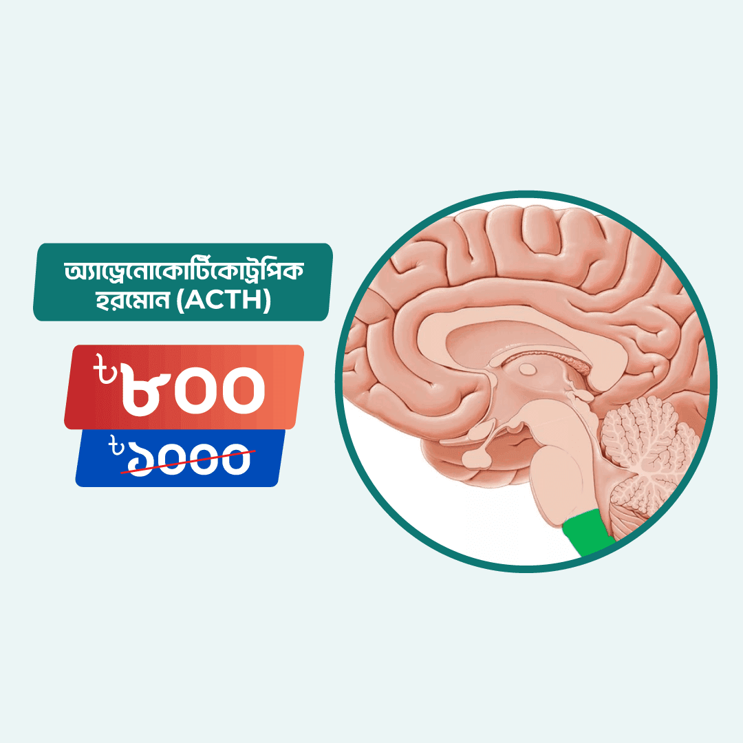 Adrenocorticotropic Hormone (ACTH)