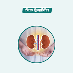 Serum Creatinine