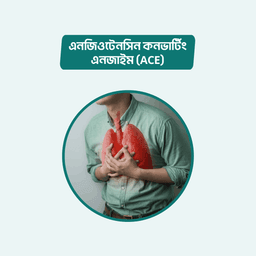 Angiotensin Converting Enzyme (ACE)