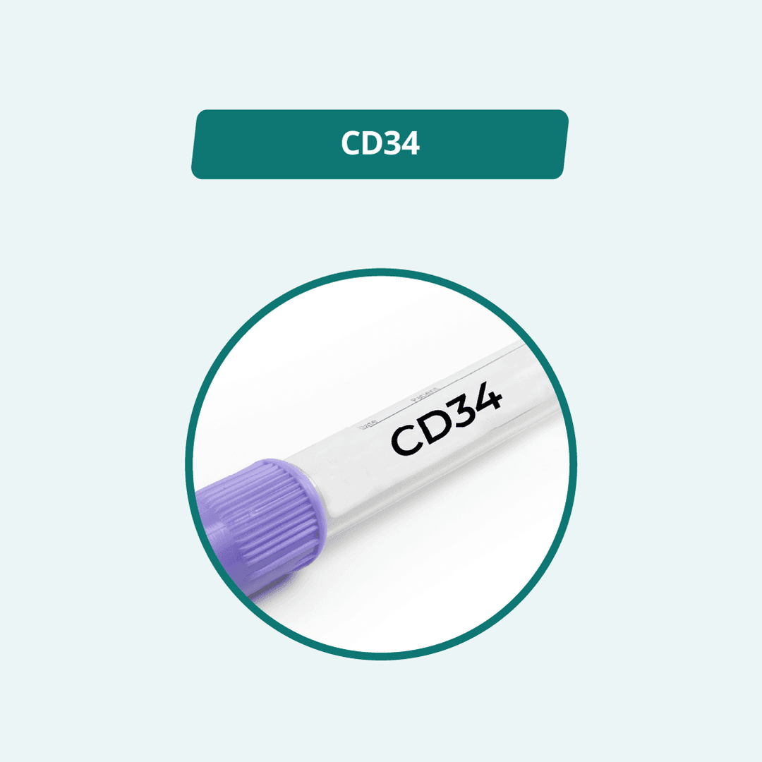 CD34