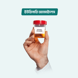 Urinary Amylase
