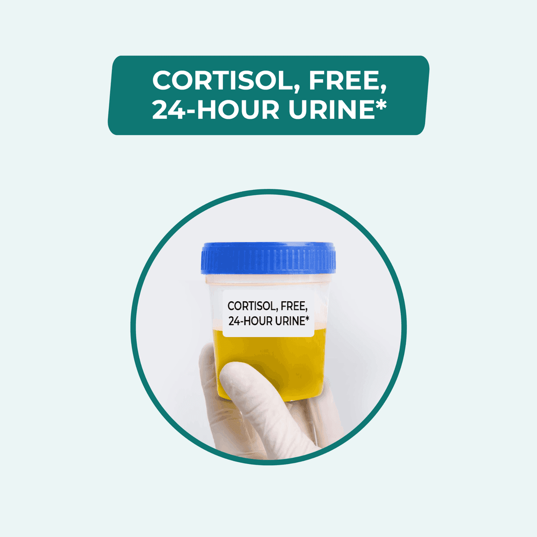 Cortisol 24 Hrs urine/CORTISOL, FREE, 24-HOUR URINE