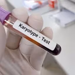 Karyotyping