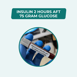 INSULIN 2 HOURS AFT 75 GRAM GLUCOSE