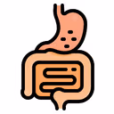Digestive system