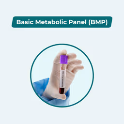 Basic Body Check-up