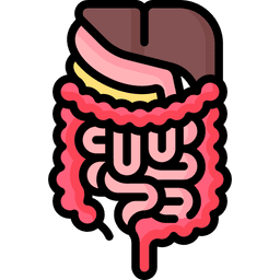 Gastrointestinal system
