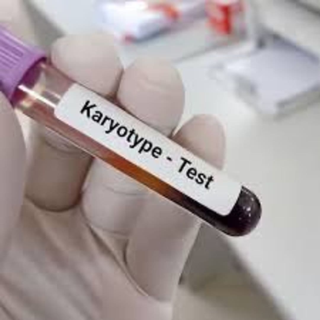 Karyotyping