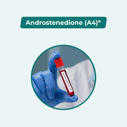 Androstenedione (A4)
