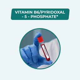 VITAMIN B6/PYRIDOXAL - 5 - PHOSPHATE
