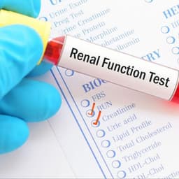 Renal Function Test (RFT)