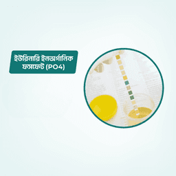 Urinary Inorganic Phosphate (PO4)