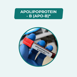 Apolipoproteins B (APO-B)